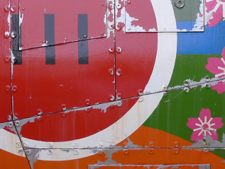 Spring flowers for&nbsp;Christmas